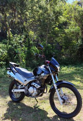 HONDA NX4 FALCON 